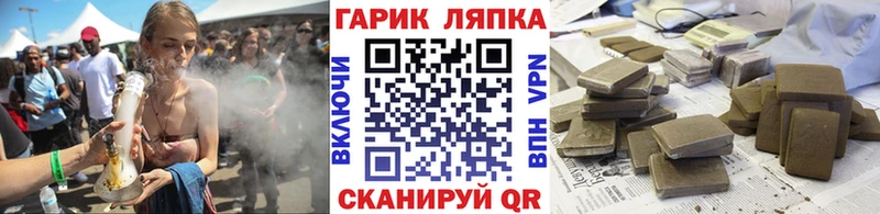 ГАШ Premium  купить  цена  Полысаево 