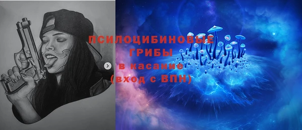 ешки Арсеньев