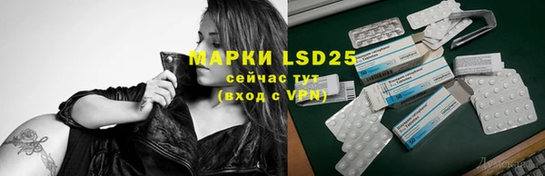 спайс Аркадак
