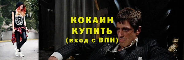 ешки Арсеньев