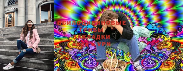 ешки Арсеньев
