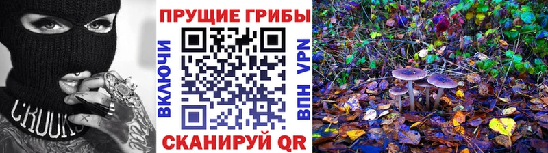 сколько стоит  Полысаево  Галлюциногенные грибы мицелий 